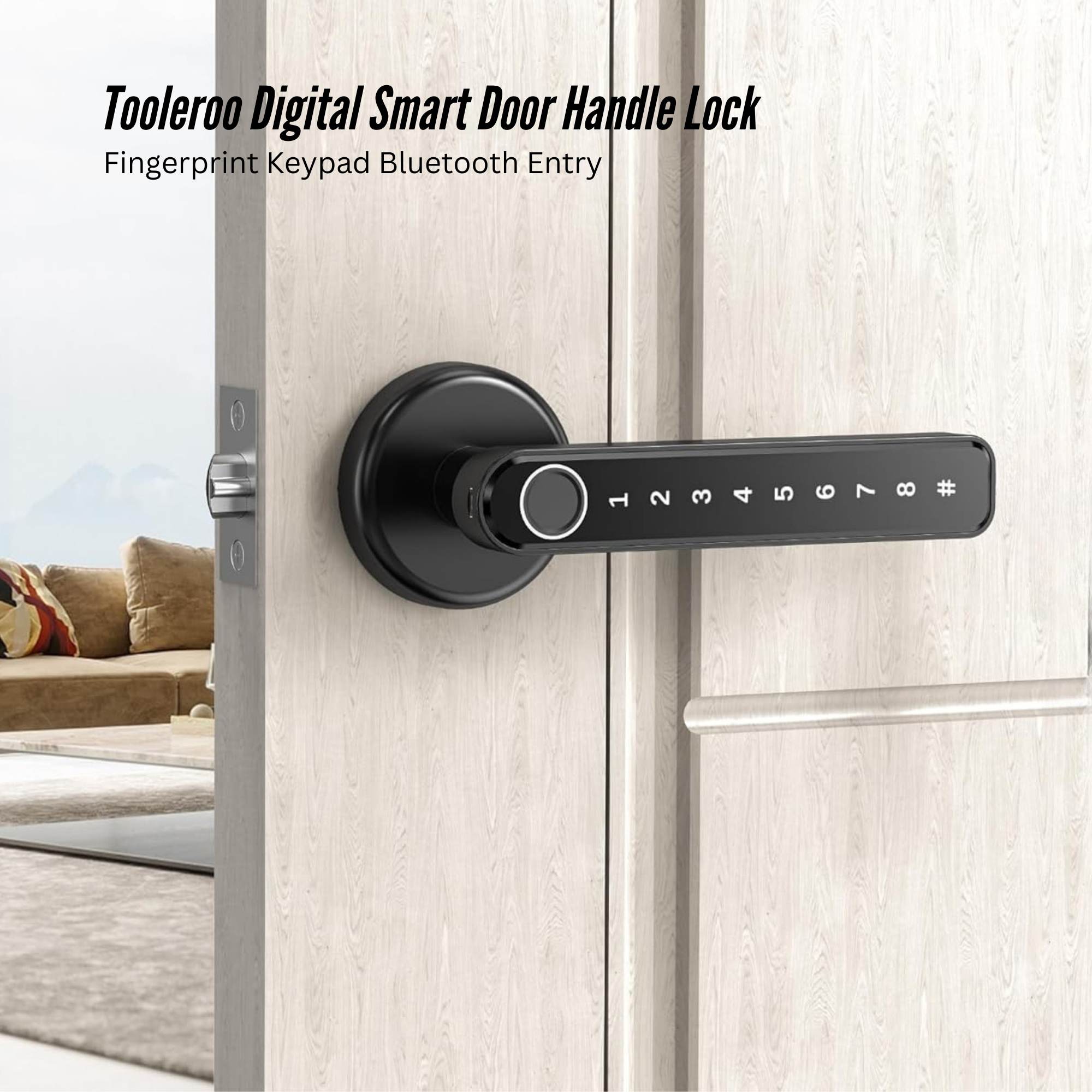 Smart Door Lock Handle